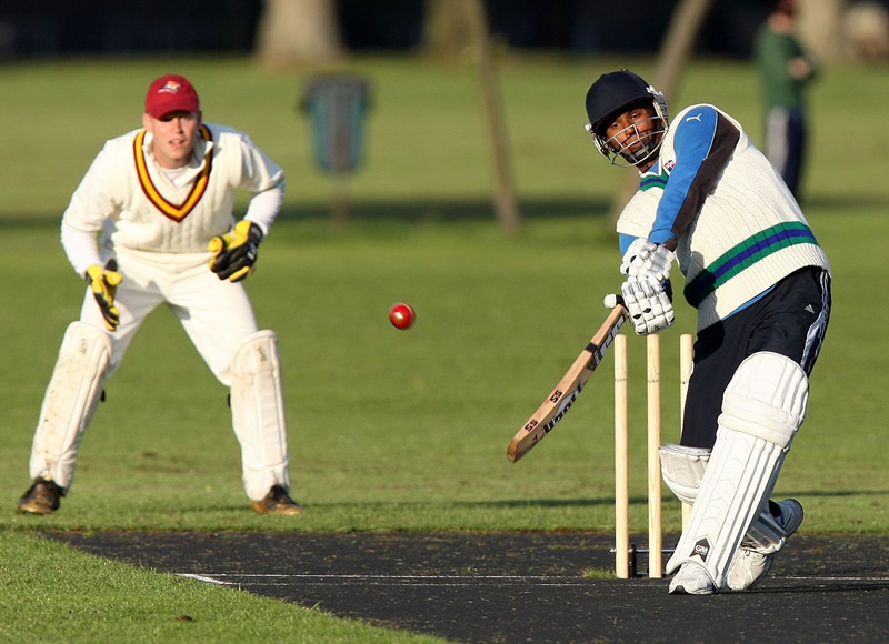 VIPA cricket